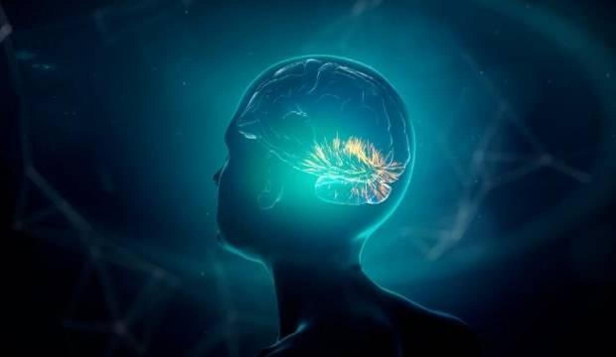 Ölüm anında insan beyninde neler olduğu ortaya çıktı