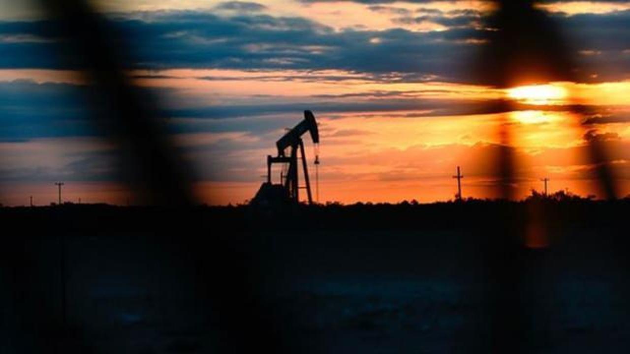 OPEC'ten 'enerji kaosu' açıklaması