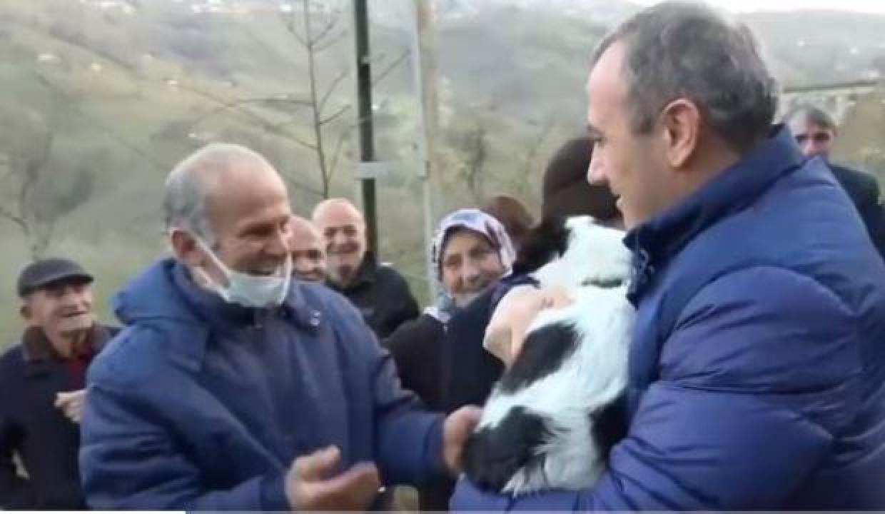 Ordu'da heyelanda hayvanlarını kaybeden aileye büyükbaş hayvan verildi
