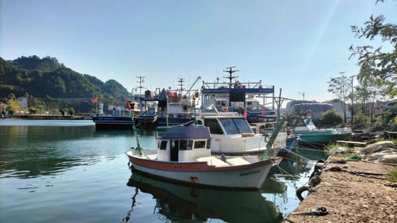 Ordulu balıkçılar, yeni sezonda palamuttan umutlu