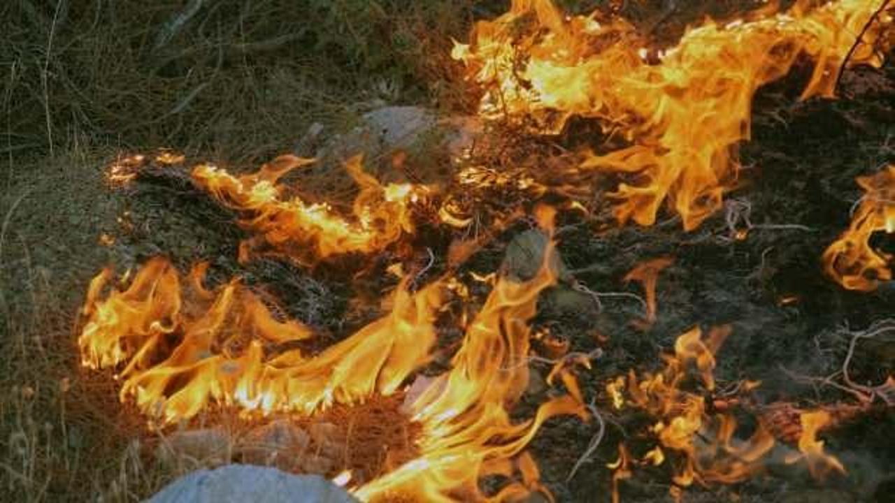 Orman yangını çıkardığı öne sürülen zanlı tutuklandı