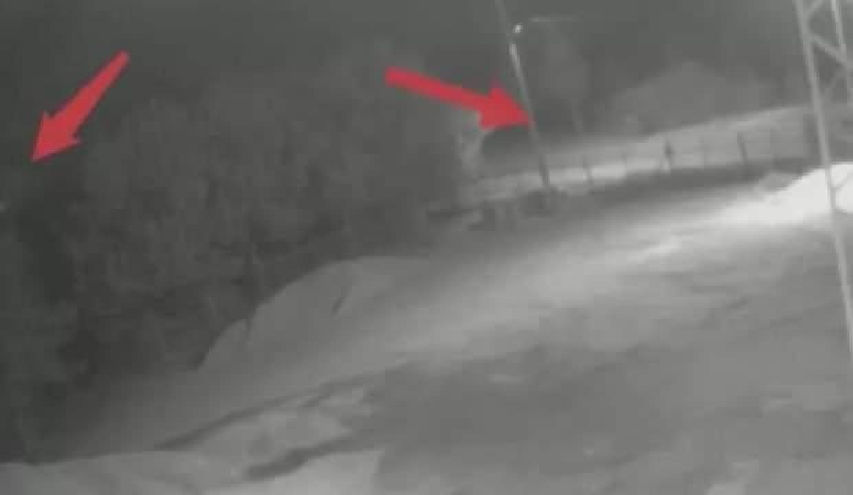 Ormanda kasıtlı yangın çıkaran 5 kişi tutuklandı