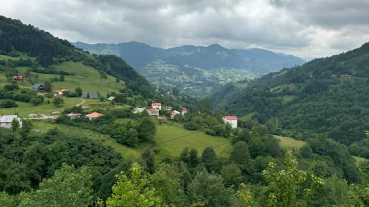 Örtüaltı sebze üretimi beldenin gelir kapısı oldu