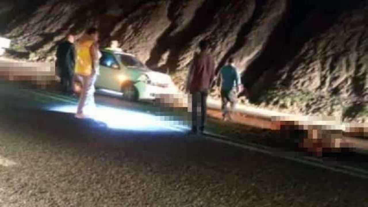 Otomobil sürüye çarptı; 17 koyun öldü
