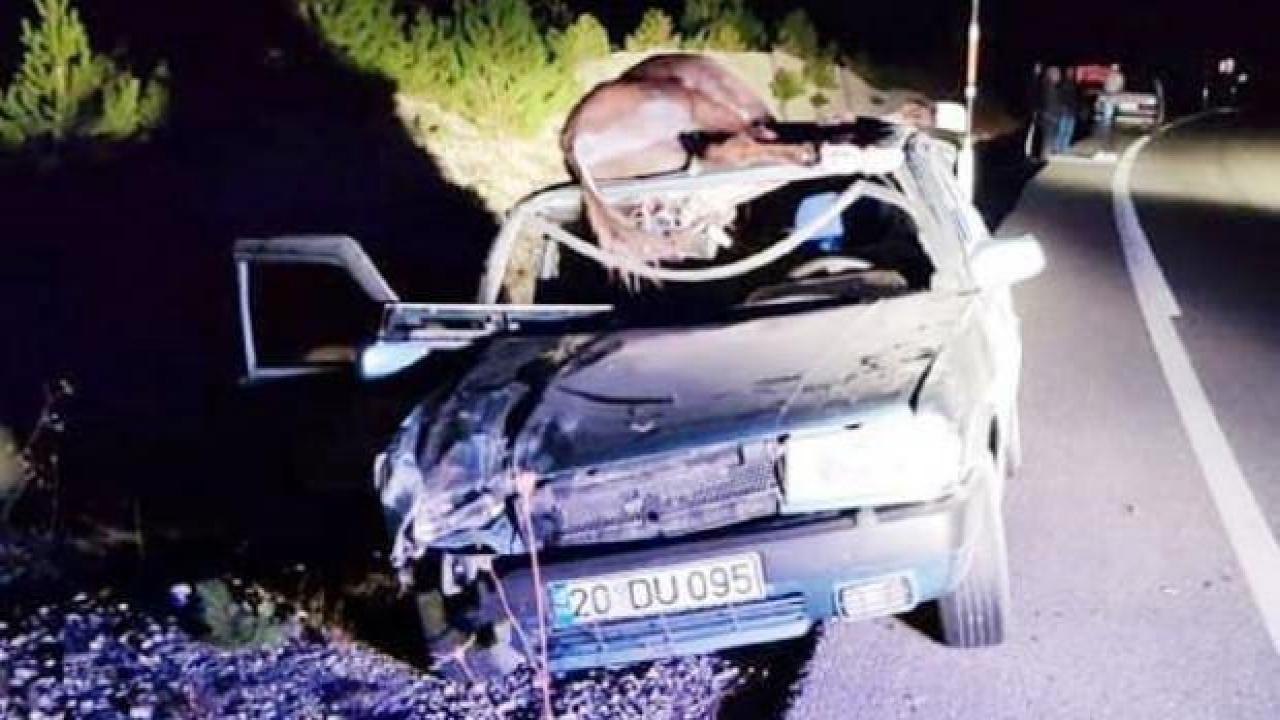 Otomobilin çarptığı eşek ile araçtaki sürücünün babası öldü