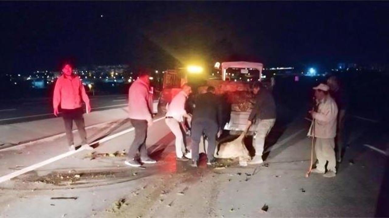 Otomobilin çarptığı koyun sürüsünde 18 koyun telef oldu