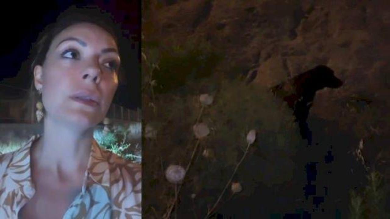 Oyuncu Özge  ile CHP'li başkandan tepki çekti! Kaza yapan motosikletliyi umursamadılar