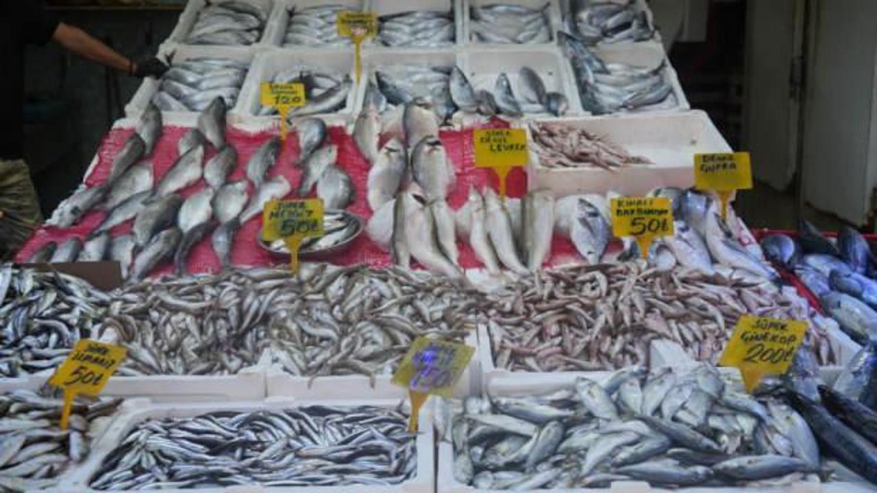 Palamudun tanesi 150 TL’den 80 TL’ye düştü