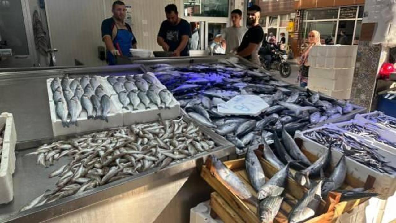 Palamut bolluğu: Tanesi 80 liraya düştü