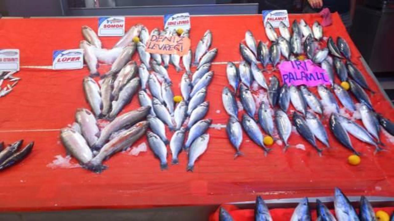 Palamut fiyatları 150 liraya yükseldi!