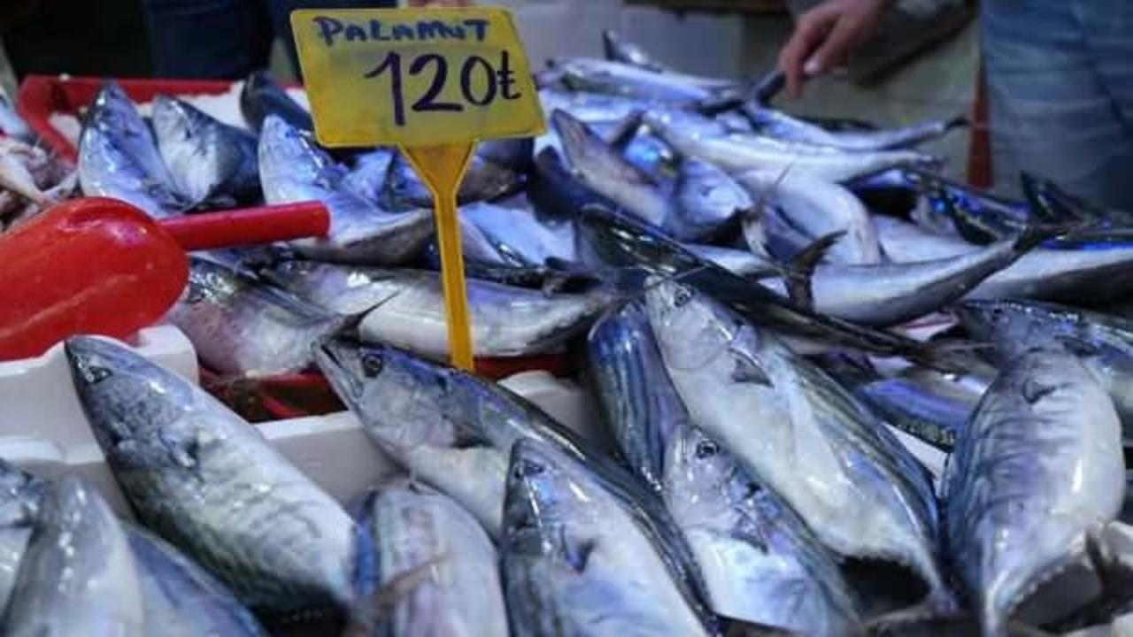 Palamut göç etti, fiyatı 120 TL'ye yükseldi