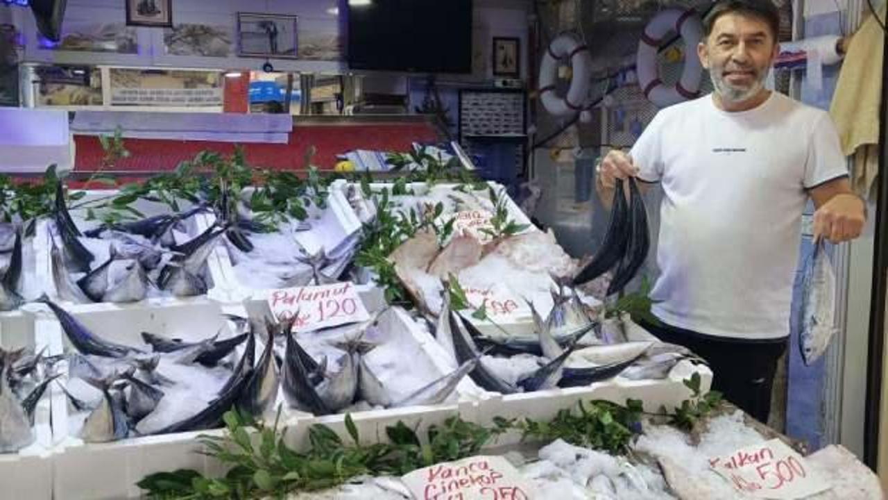 Palamut Gürcistan'a kaçtı!