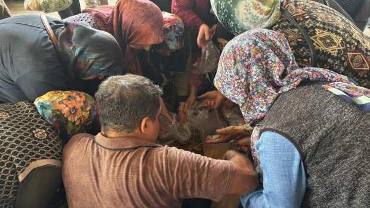 Pazarda mantar izdihamı!