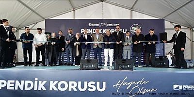 pendik