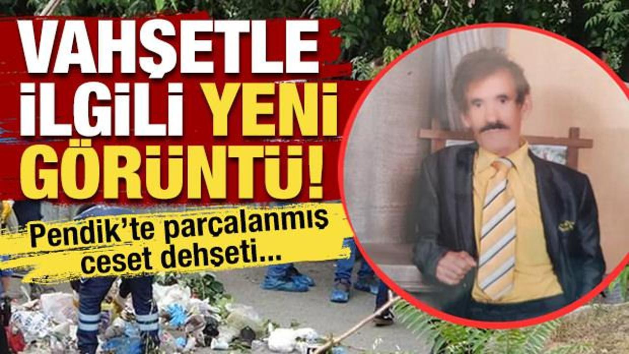 Pendik'te parçalanmış ceset dehşetiyle ilgili yeni görüntü ortaya çıktı
