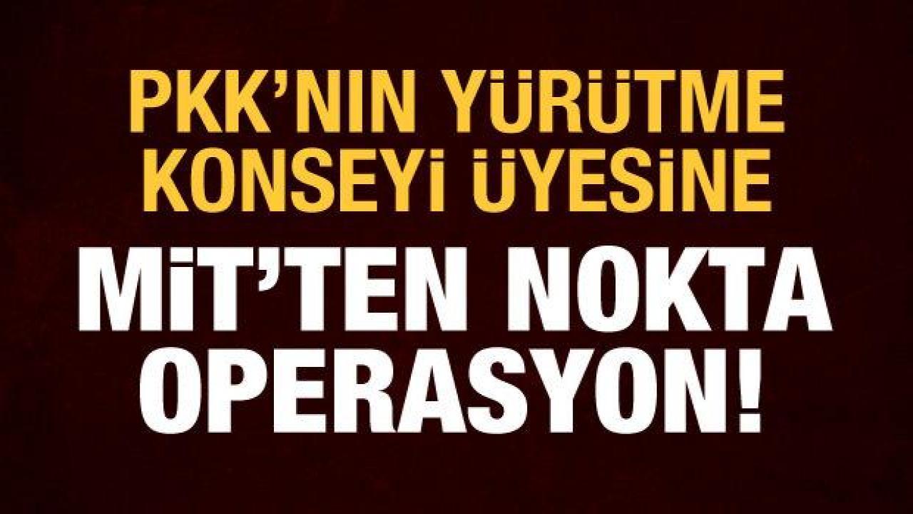 PKK'nın sözde yürütme konseyi üyesi Erhan Arman etkisiz hale getirildi