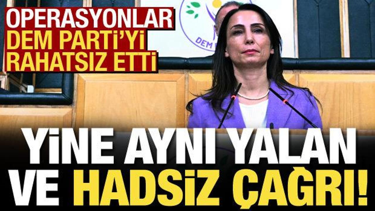 PKK'ya operasyonlardan rahatsız olan DEM Parti'den yalan ve hadsiz çağrı