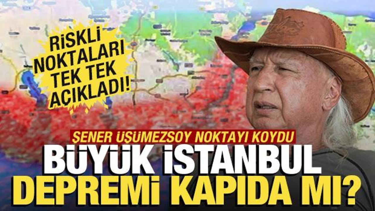 Prof. Dr. Şener Üşümezsoy: 