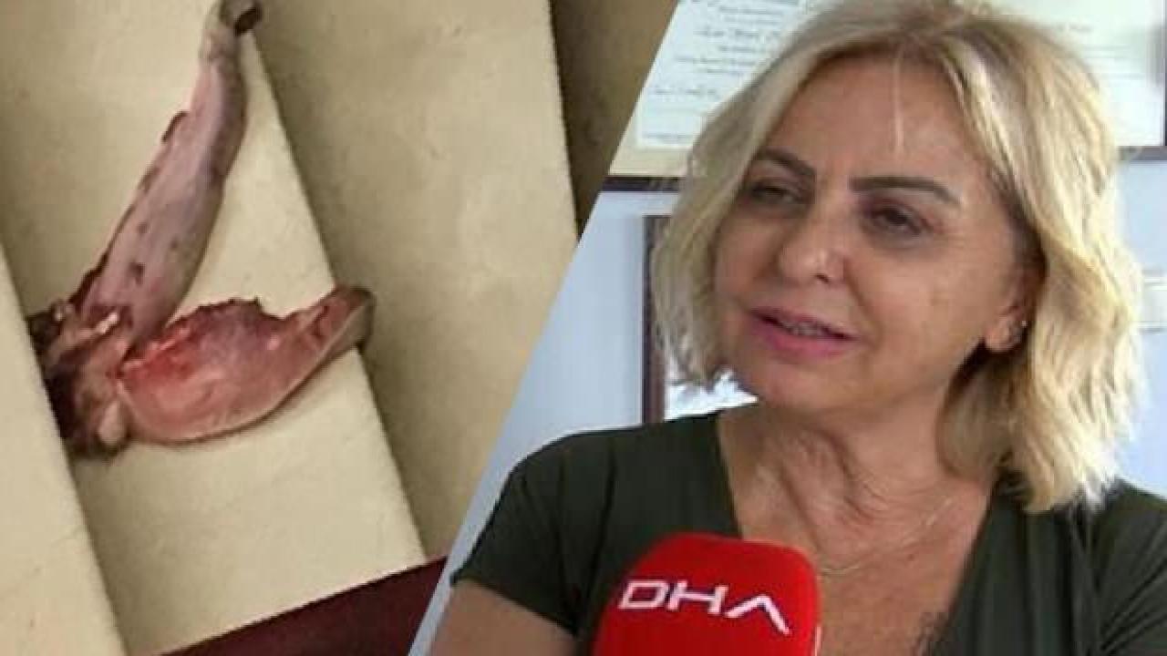 Profesörü 'dana dili' ile tehdit eden sanık hakkında yakalama kararı