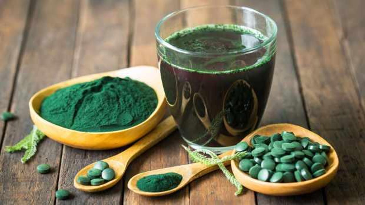 Protein şampiyonu Spirulina! Tüketenin kasları ve kemikleri beton gibi güçlü oluyor