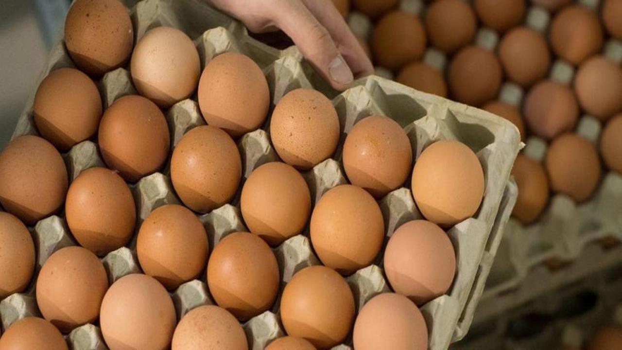 Rekabet Kurulu'ndan beş şirkete yumurta viyolü soruşturması
