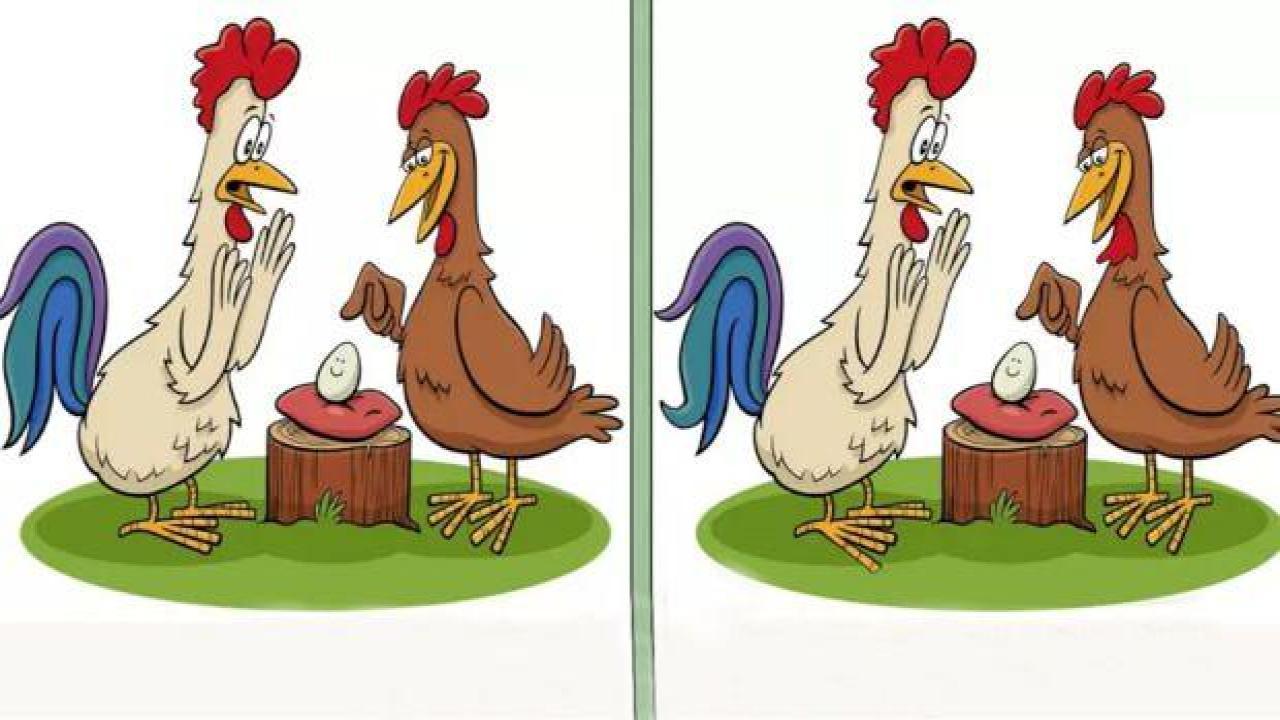 Resimdeki farklar hangileri? 16 saniyede toplam kaç fark görebileceksiniz? Deneyenlerin %89'u çözemedi!