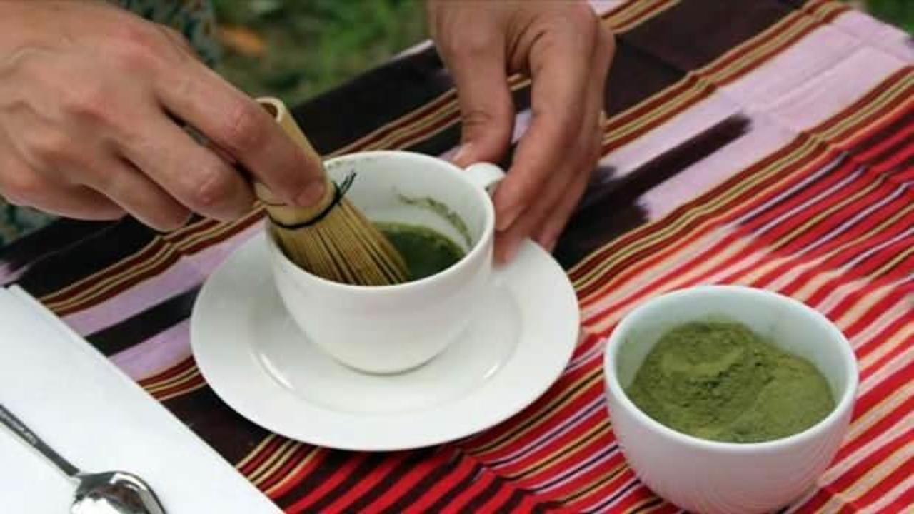 Rize Ziraat Odası çay üreticisine destek için çay tohumu yağı fabrikası kuruyor