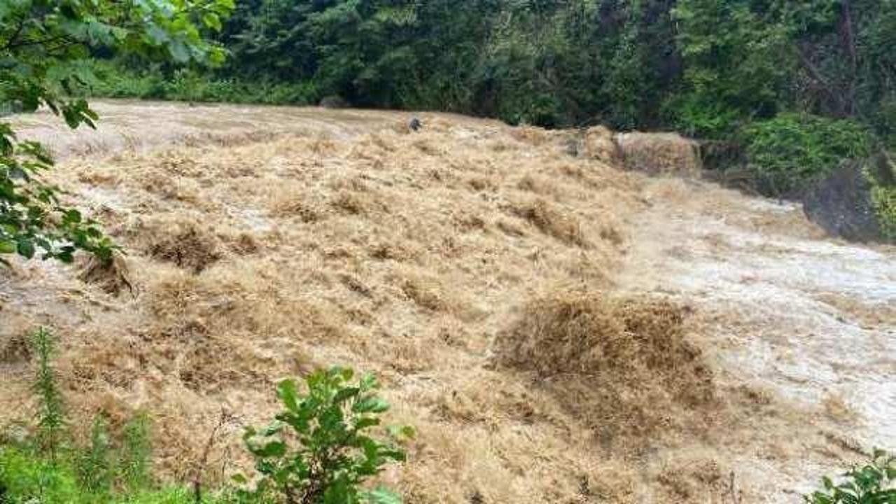 Rize'de sağanak; derelerin su seviyesi yükseldi