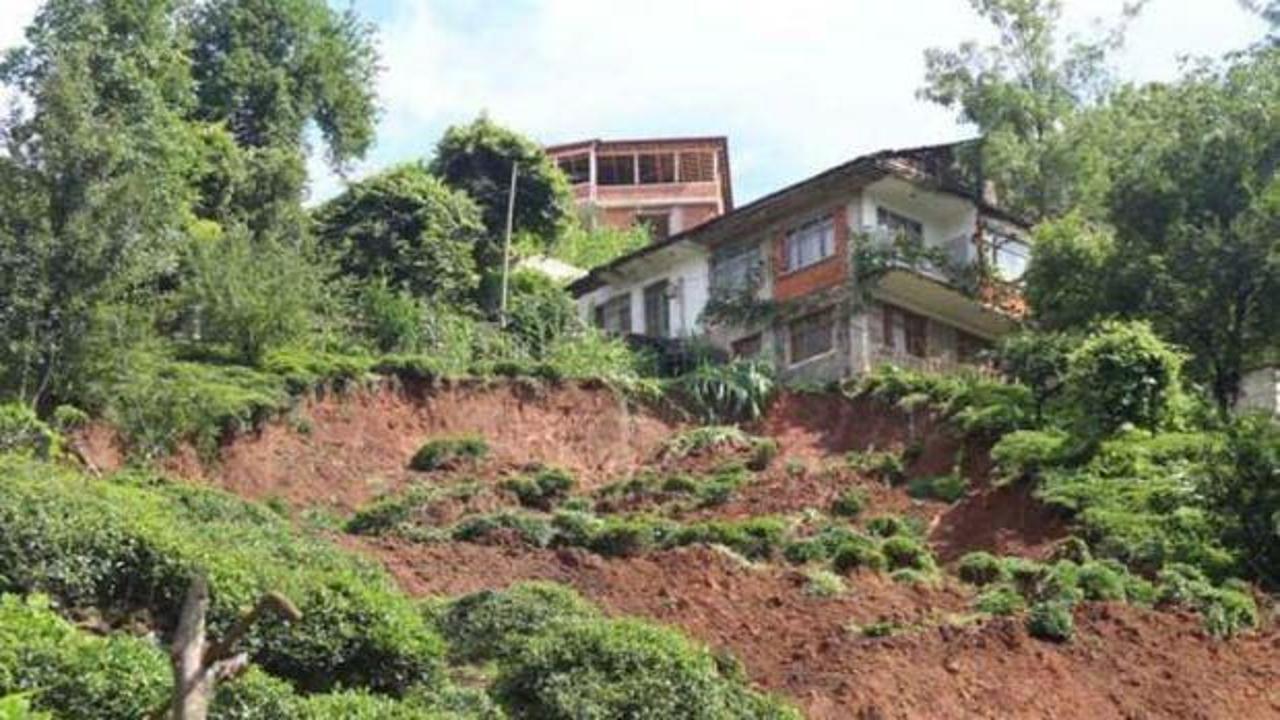 Rize'de tedirgin eden artış: Son 1 yıl içinde 2 kat arttı!