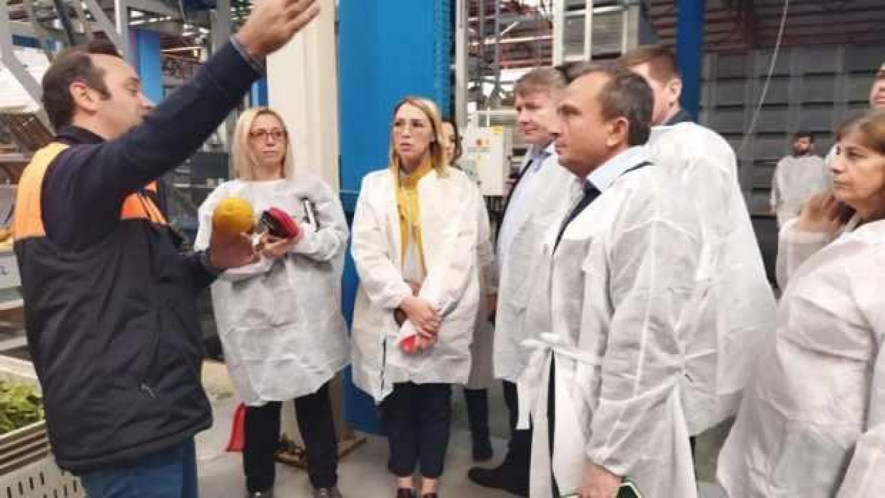 Rus heyet Adana’da: Narenciye tesislerini incelediler