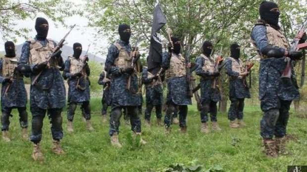 Rusya: Afganistan'da 6 bin DEAŞ militanı var