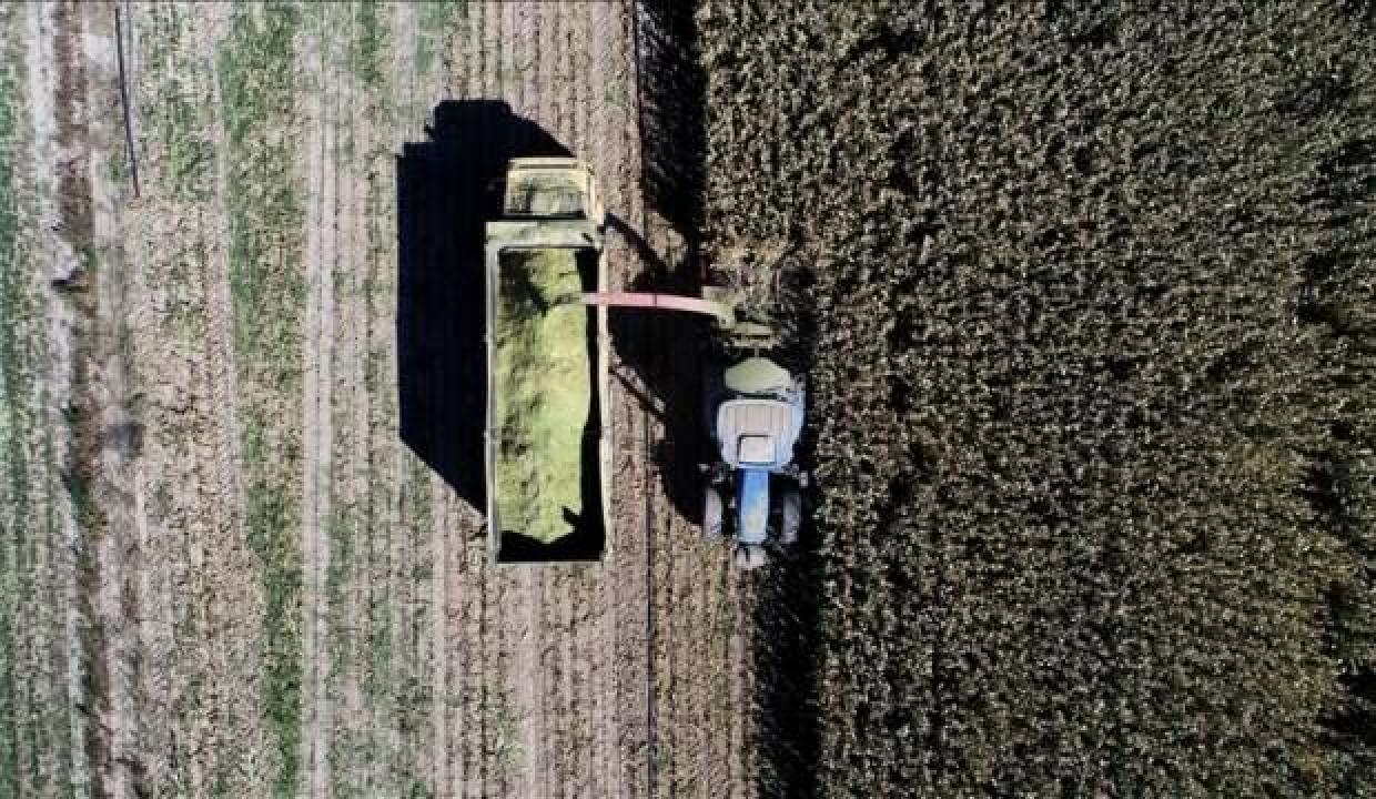 Rusya-Ukrayna savaşı tarıma 'pozitif ayrımcılık' adımlarını hızlandırdı