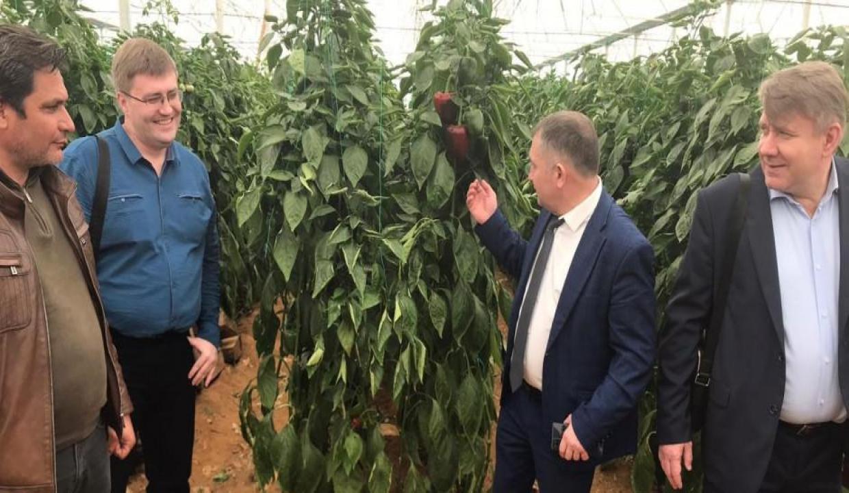 Rusya'dan sevindiren Türkiye kararı! Yasak kaldırıldı