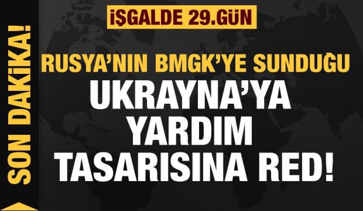 Rusya'nın Ukrayna işgali 29. gününde: Rusya'nın yardım tasarısı BMGK'de kabul edilmedi