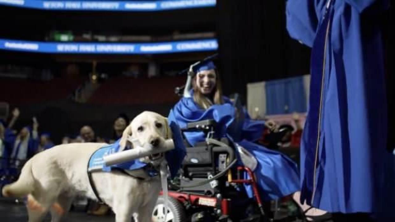 Sahibiyle aynı üniversiteden mezun olan köpek viral oldu