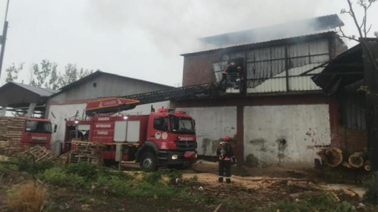 Sakarya'da orman ürünleri fabrikasında yangın