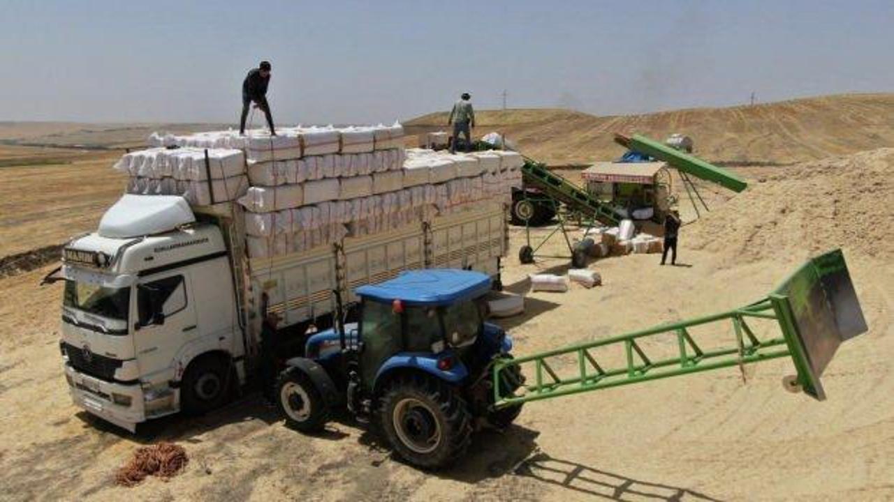 Samanlar Türkiye'nin birçok noktasına gönderiliyor