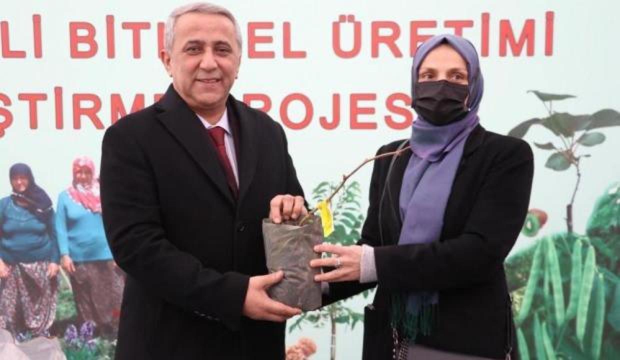 Samsun’da kivi üretiminde hedef 4 yılda 1. sıraya yerleşmek