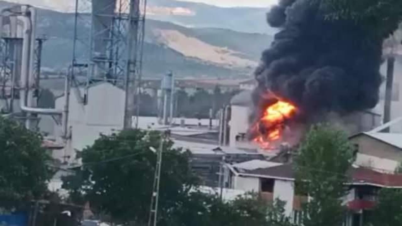 Samsun'da orman ürünleri fabrikasında yangın