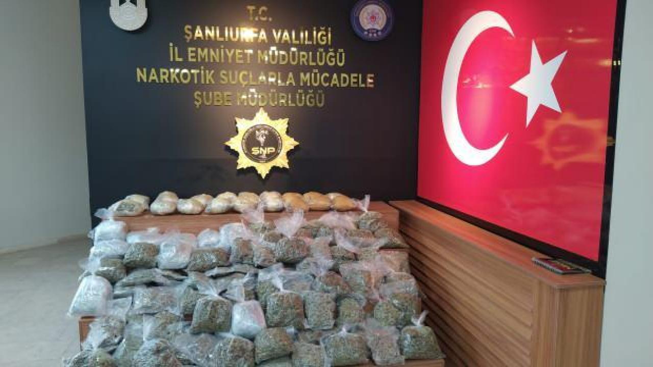 Şanlıurfa'da 74 kilo 800 gram skunk ele geçirildi