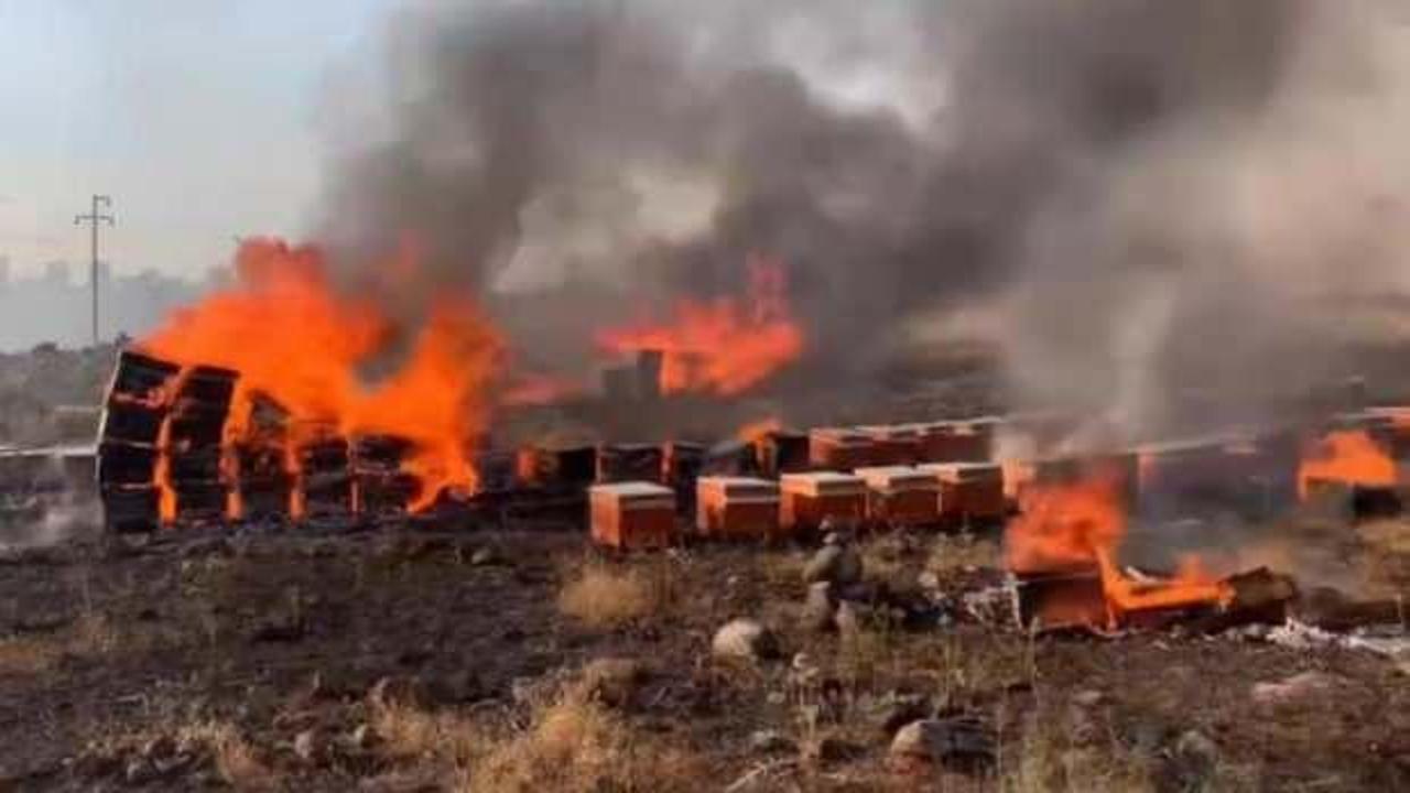 Şanlıurfa'da yangın: Yüzlerce arı kovanı kül oldu