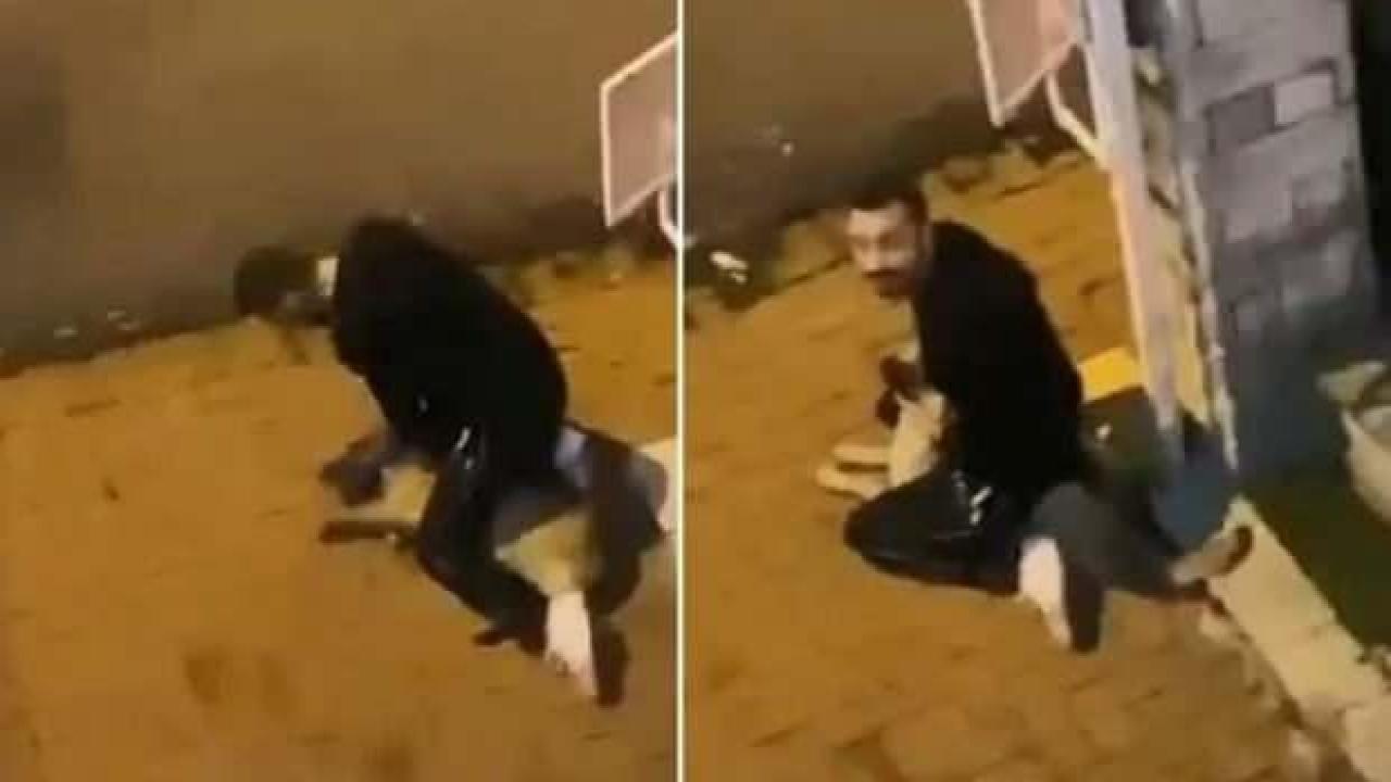 Sarıyer'de köpeği boğmaya çalışan cani tutuklandı!
