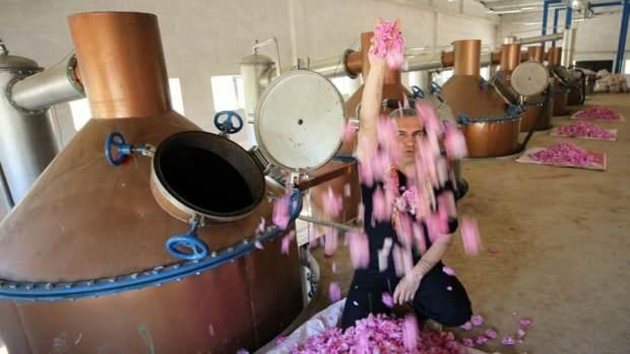 Şarkıcı Berdan Mardini dünyaya satıyor! Kilosu 14 bin euro
