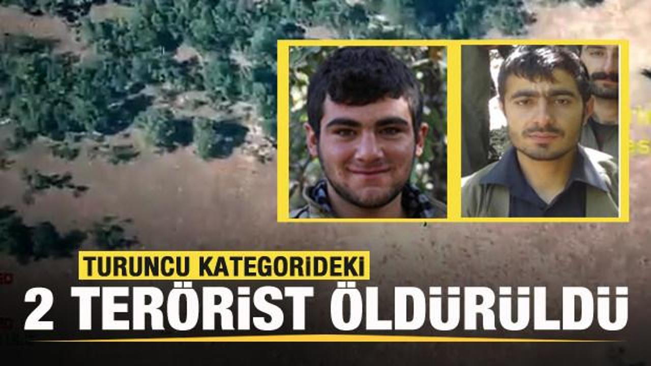 Şehitlerimizin kanı yerde kalmadı! Turuncu kategorideki 2 terörist öldürüldü