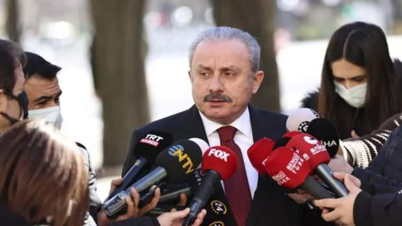 Şentop'tan Gergerlioğlu'na tepki: Arkadaşı dışarı alalım