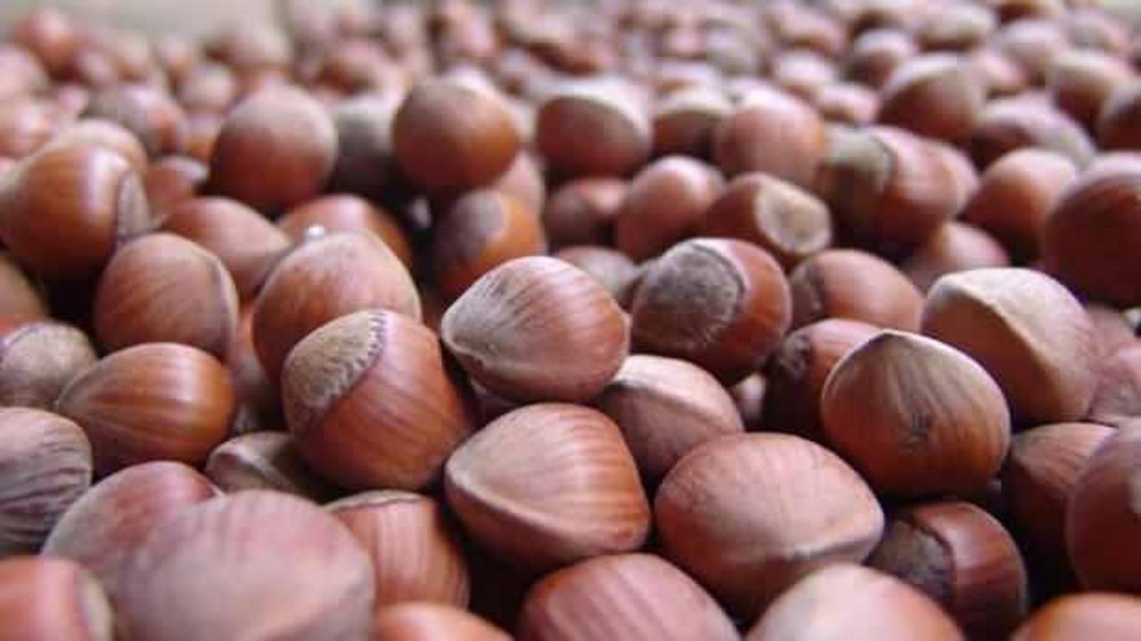 Serbest piyasada fındık fiyatı randımana bağlı