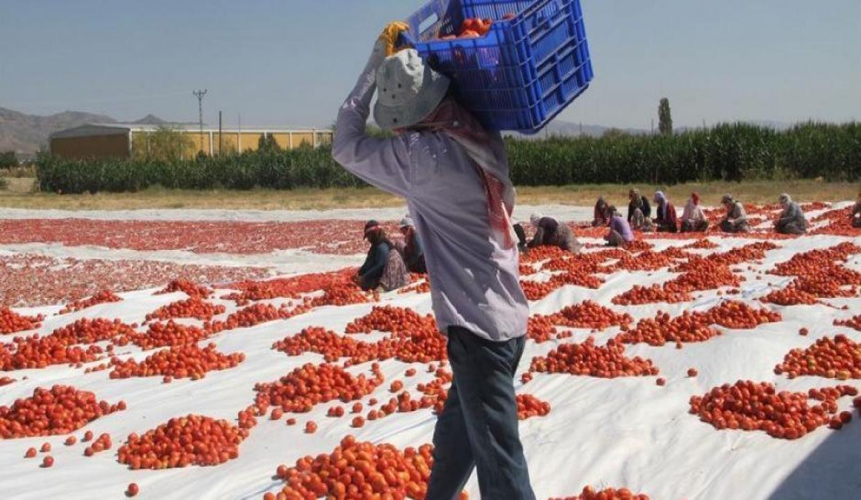 Sezonluk çalışanların tazminat hakkı