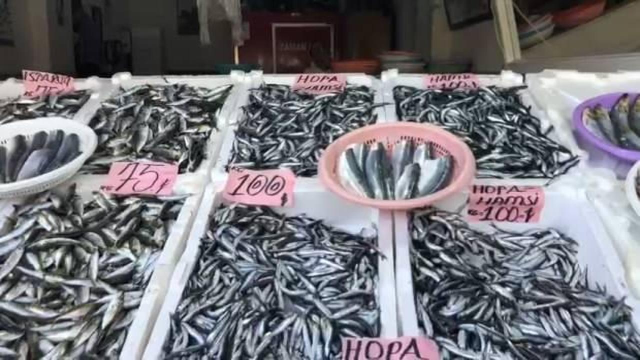 Sezonun ilk yerli hamsisi 100 TL’den tezgahtaki yerini aldı