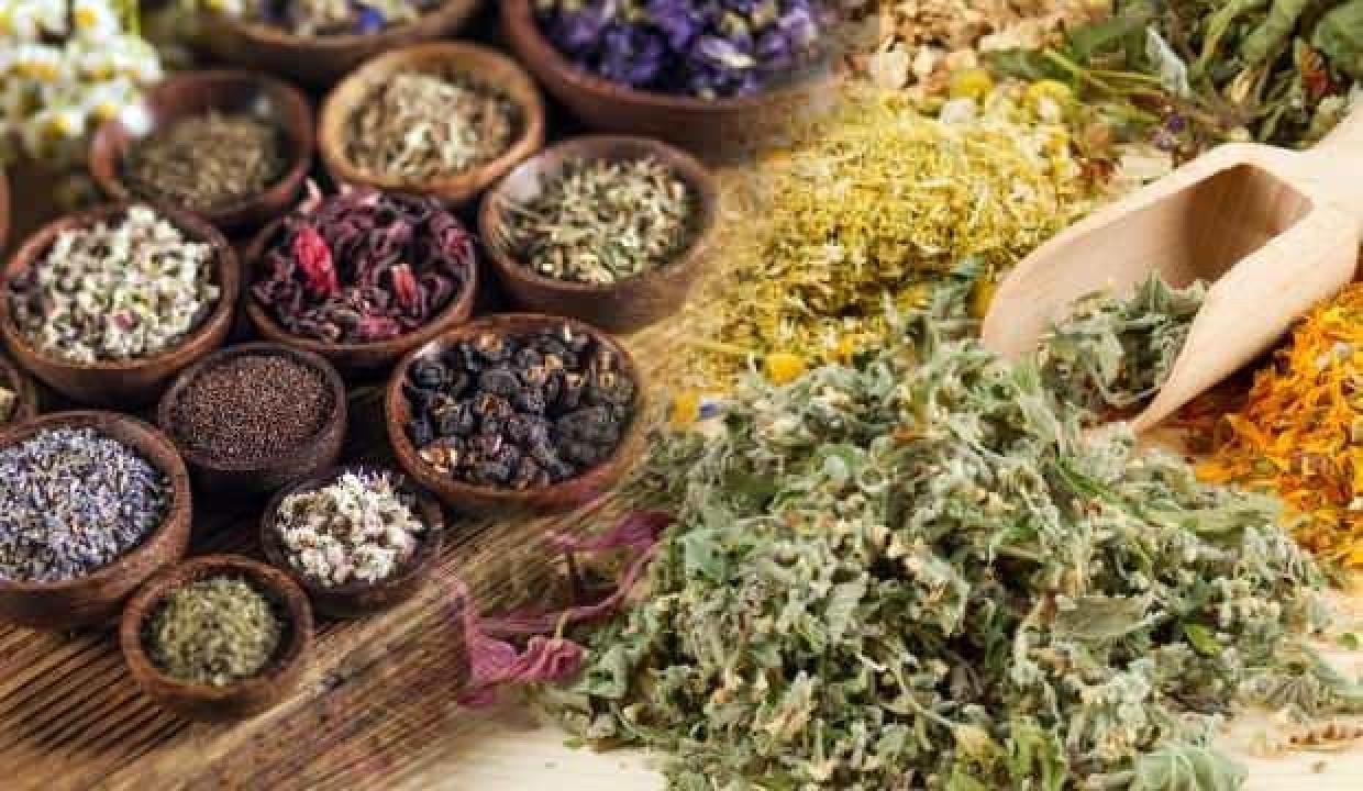 Şifalı bitkiler nedir ve nasıl kullanılır? Her derde deva şifalı bitkilerin faydaları...