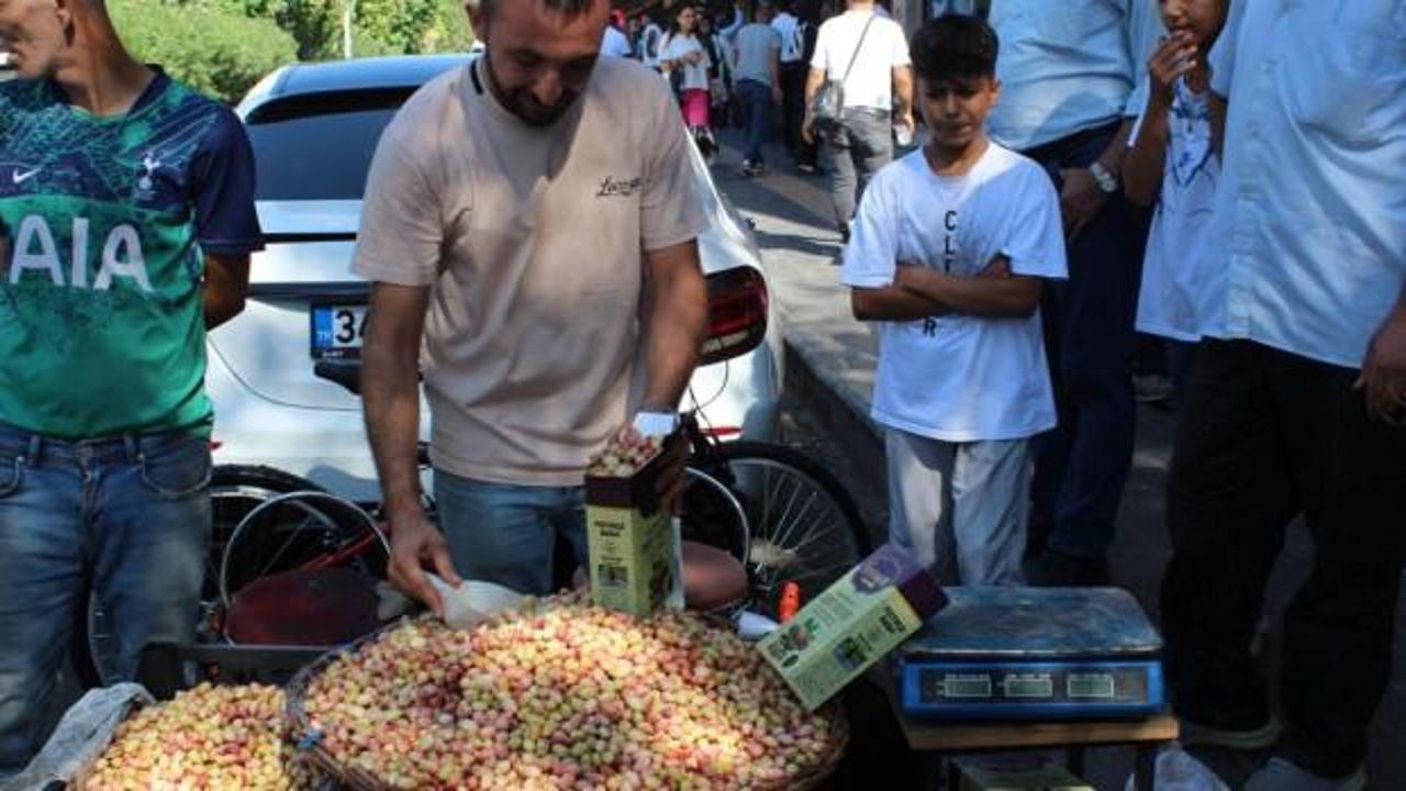 Siirt’in yeşil altını tezgahtaki yerini aldı